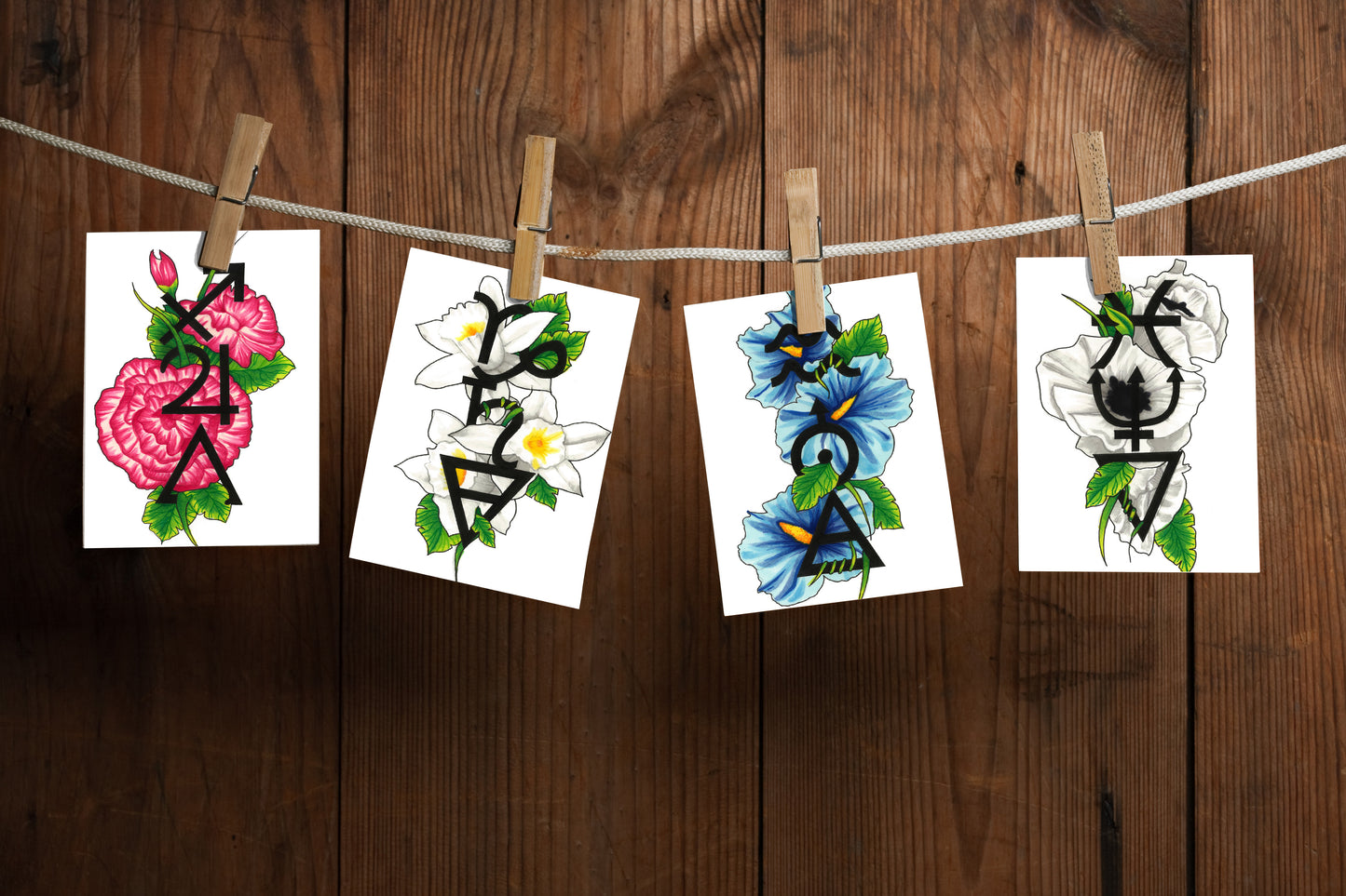 Full Collection of Zodiac Symbol and Floral Prints (12 x A6 prints)